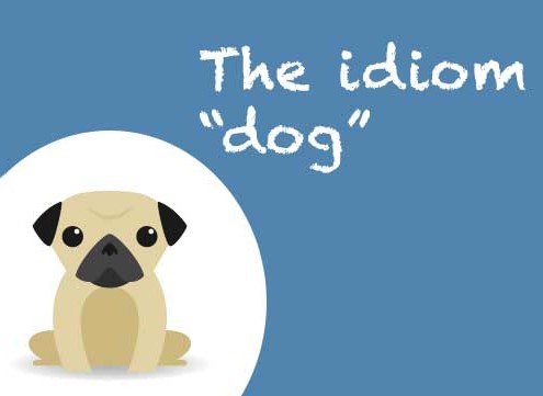 The idiom dog